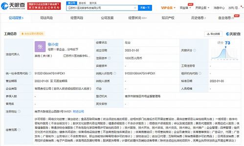 蘇寧布局數字科技新賽道 成立科技公司，涉足演出經紀與數字內容服務